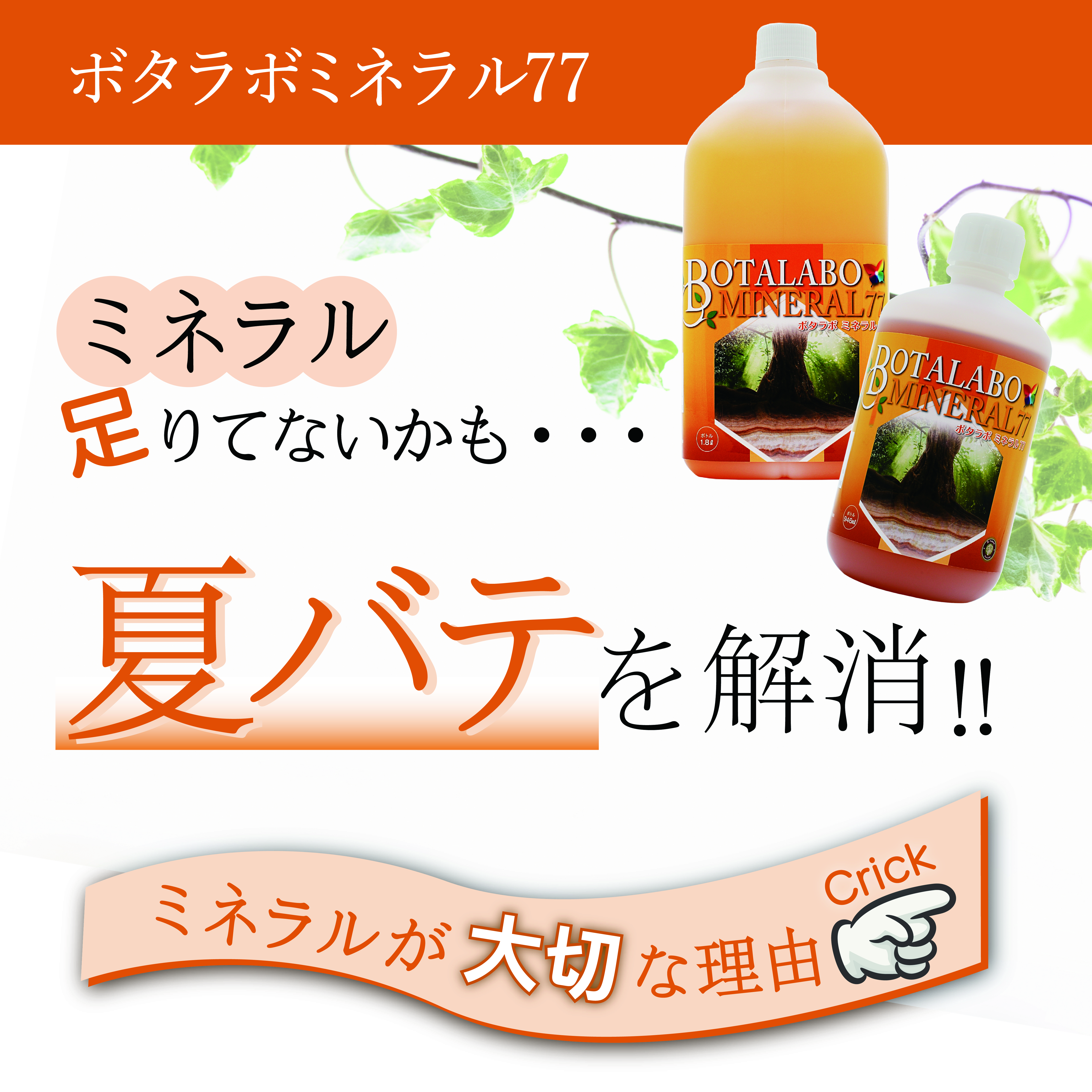 食品/飲料/酒ボタラボ オメガミネラル ２個 - その他