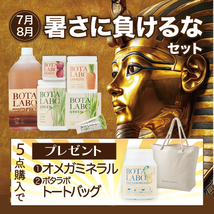 キャンペーン717