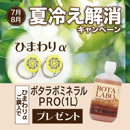 キャンペーン720